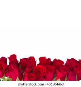 Low poly illustration border of fresh red garden roses