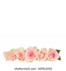 Low poly illustration border of pink roses isolated on white background