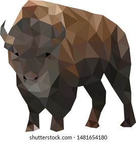 Low poly illustration of buffalo
