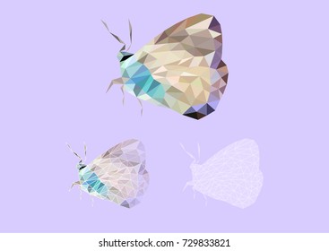 Low poly illustration of butterfly. Vector polygonal butterfly. Geometric butterfly composed by many triangles on plain background. Wire frame butterfly