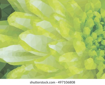 Low poly illustration Close up of lime green abstract Chrysanthemum Flower