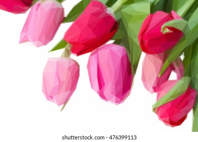 Low poly illustration close up of pink tulips