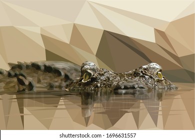 Low poly illustration of a crocodile