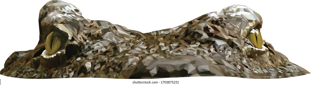 Low poly illustration of a crocodile head in water