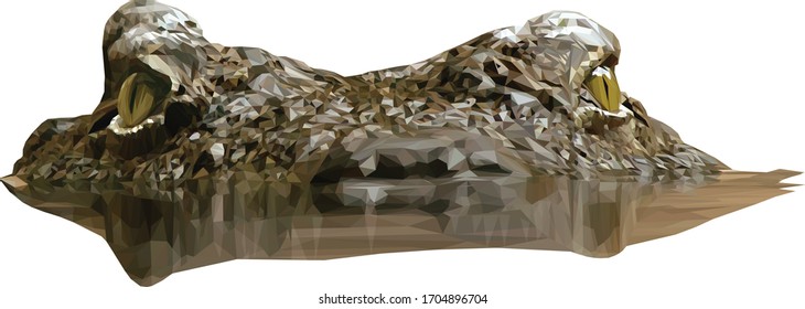 Low poly illustration of a crocodile head in water with a reflection