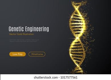 Low-Poly-Abbildung der DNA mit goldenem Staubeffekt. Sparkle Stardust. Glitzende Vektorgrafik mit goldenen Teilchen auf dunklem Hintergrund. Polygonales drahtloses Wissenschaftskonzept aus Punkten und Linien.