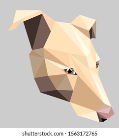 Low poly illustration of dog head