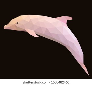 Low poly illustration of dolphin