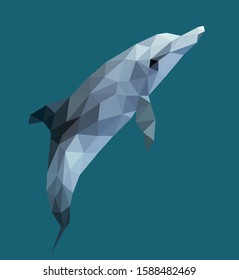 Low poly illustration of dolphin