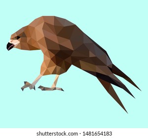 Low poly illustration of eagle