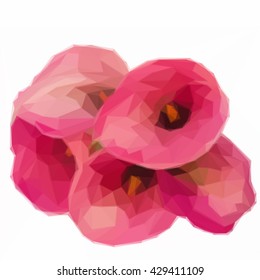 Low poly illustration fresh Calla lilly flowers
