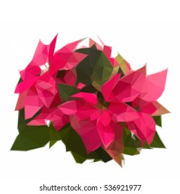 Low poly illustration garden with red poinsettia flowers or christmas star