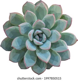 Low Poly Illustration Green Red Succulent Stock Vector (Royalty Free ...