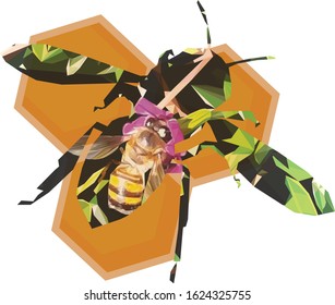 Low poly illustration of a honey bee inside of a bee on honeycomb