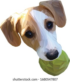 Low poly illustration of a Jack Russell Terrier head with a tennis ball