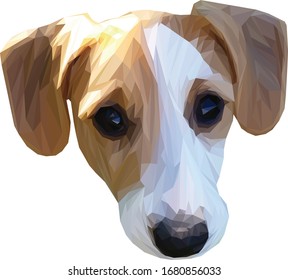 Low poly illustration of a Jack Russell Terrier head 