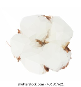Low poly illustration of one cotton plant bud
