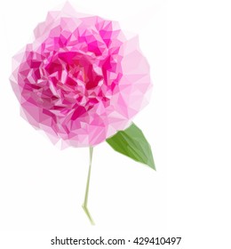 Low poly illustration one pink peony flower