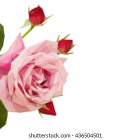 Low poly illustration one pink rose with buds