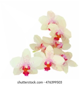 Low poly illustration pile of orchid flowers