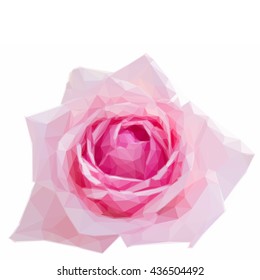 Low poly illustration of pink blooming rose