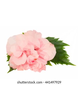 Low poly illustration pink fresh hibiscus double flower with green leaves