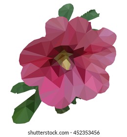 Low poly illustration pink fresh hibiscus flower with green leaves