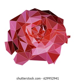 Low poly illustration of rose