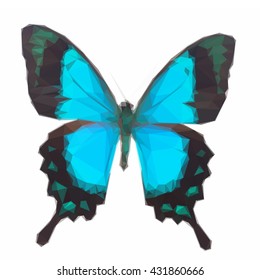 Low poly illustration of Sea Green Swallowtail butterfly