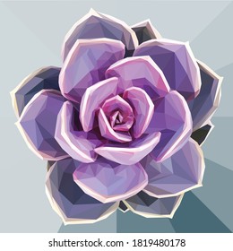 Low poly illustration of a succulent on a green grey  background