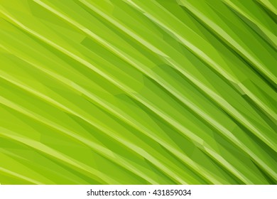 Low poly illustration texture of fresh green leaf with vein macro background