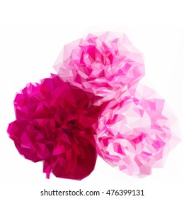 Low poly illustration two pink and one red peonies