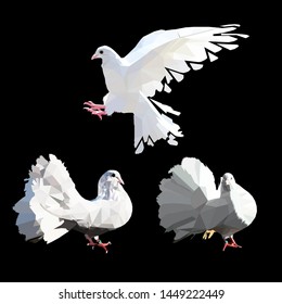 Low Poly Illustration White Pigeons in Black Background