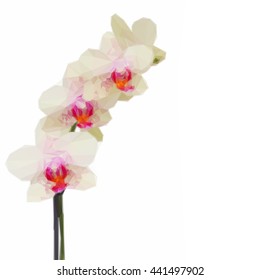 Low poly illustration white with violet orchid flowers branch