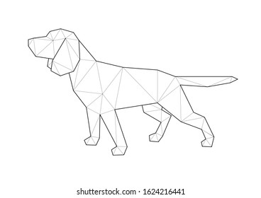 Low poly illustrations of dogs. Beagle walking