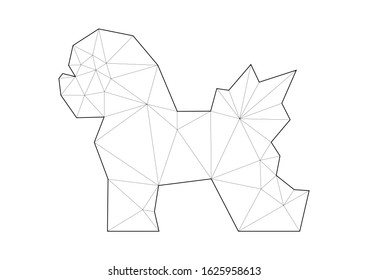 Low poly illustrations of dogs. Bichon Frise standing on white background.