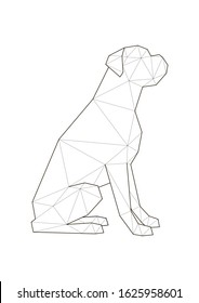 Low poly illustrations of dogs. Boxer sitting on white background.