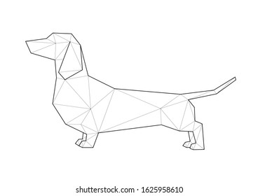 Low poly illustrations of dogs. Dachshund standing on white background.