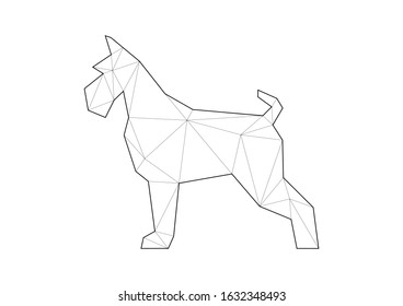 Low poly illustrations of dogs. Schnauzer standing on white background.