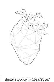 Low poly illustrations of heart. Anatomy heart vector illustration. Good for room decorating or other requirements.