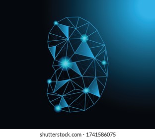 Low poly kidney with blue gradient background and lights.