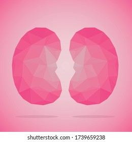 Low poly kidneys with shadow on a gradient pink background.
