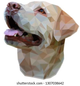  low poly large portrait of Golden Retriever isolated on white background
