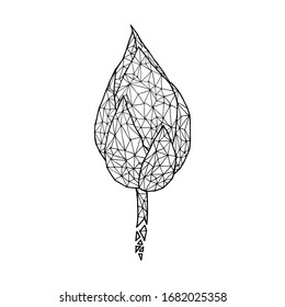 Low Poly Line Lotus Flower, Hand Drawn Illustration, Isolated Vector