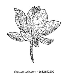 Flor Lotus de línea baja de polilla, Ilustración dibujada a mano, Vector aislado