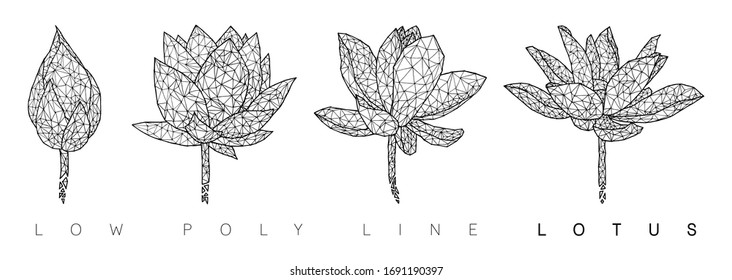 Juego de flor Lotus de línea de popa baja, Ilustración dibujada a mano, Vector aislado