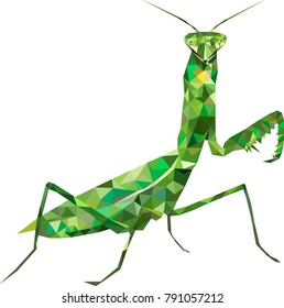 Low poly mantis, Praying Mantis from triangles, Vector graphics