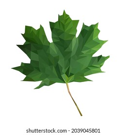 Low poly maple leaf. Vector triangular green leaf isolated on white background.