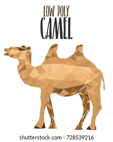 low poly model of a desert camel in brown colors vector illustration