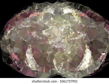 Low poly mosaic background. Template design, list, front page, brochure layout, banner, idea, cover, print, flyer, book, blank, card, ad, sign, sheet. Copy space. Vector clip art.